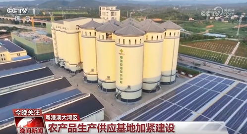 假期堅守一線勇?lián)?推進重大工程項目建設(shè)按下 加速鍵